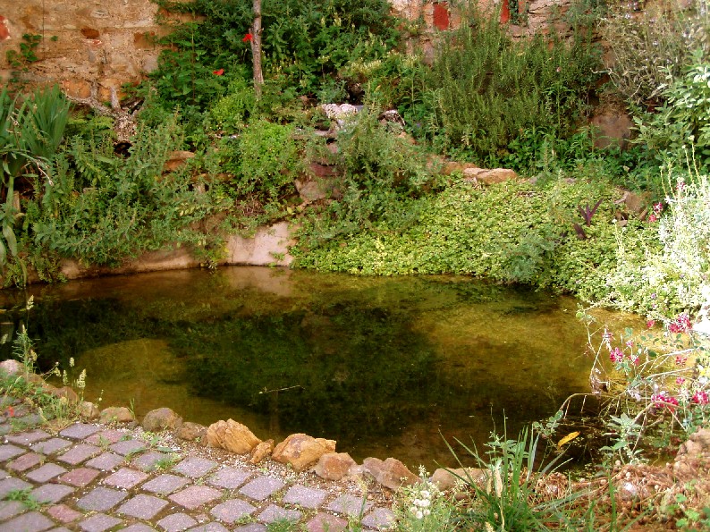 Il Laghetto del Centro di Entomologia - Piombino (LI)